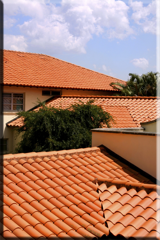 Simple Roof Sealing Design for Small Space